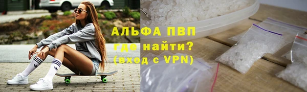 СК Волоколамск