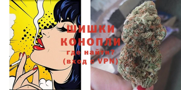 СК Волоколамск